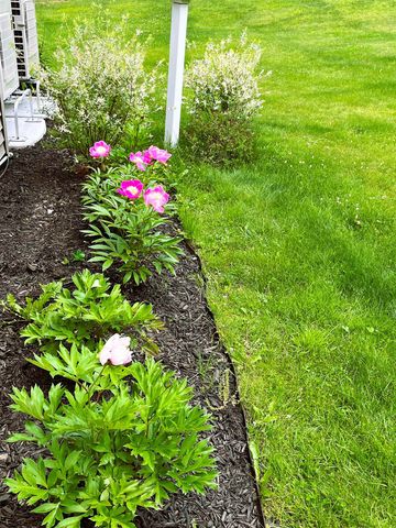 2600 Country Club Road, Plainfield, VT 05667