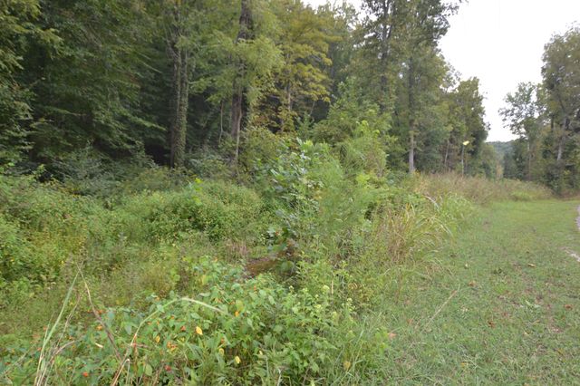 555 Myrick Branch Rd, Pulaski, TN 38478