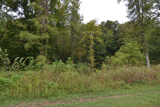 555 Myrick Branch Rd, Pulaski, TN 38478