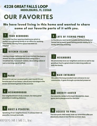4228 GREAT FALLS Loop, Middleburg, FL 32068