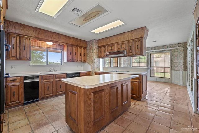 1811 Lion Lake S Drive, Progreso Lakes, TX 78596