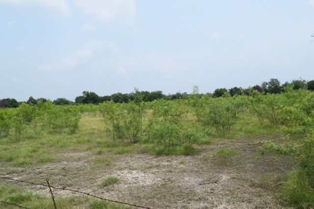 0 Cr-283, Terrell, TX 75160