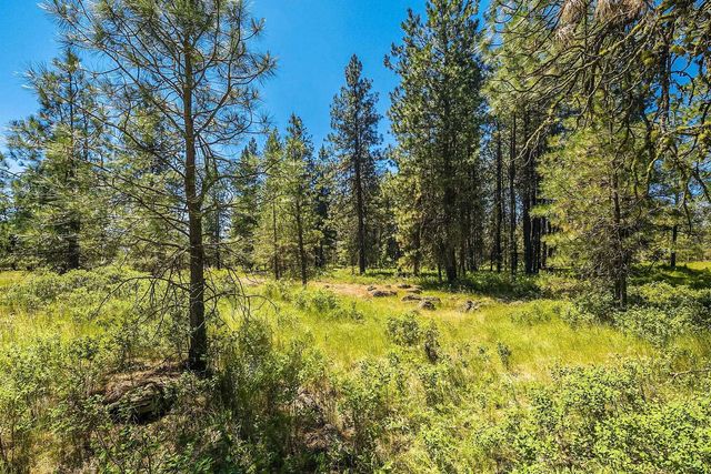 27816 W Drumheller Rd, Cheney, WA 99004