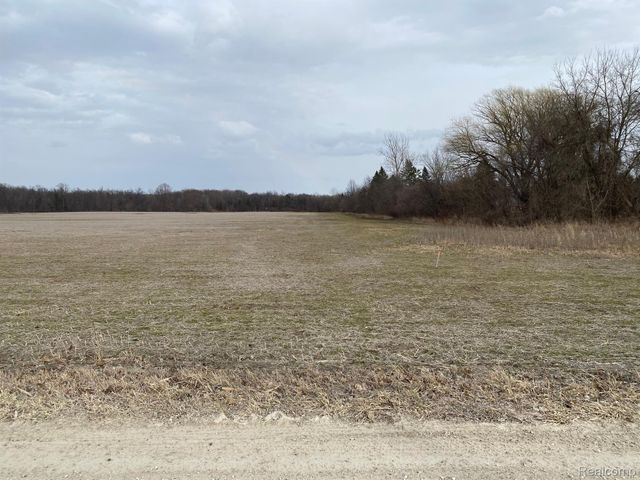 0002 HOWLAND Road, Almont, MI 48003