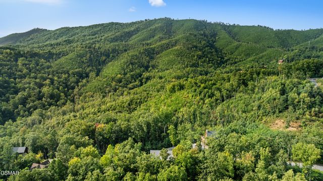 834 Pine Top Lane, Gatlinburg, TN 37738