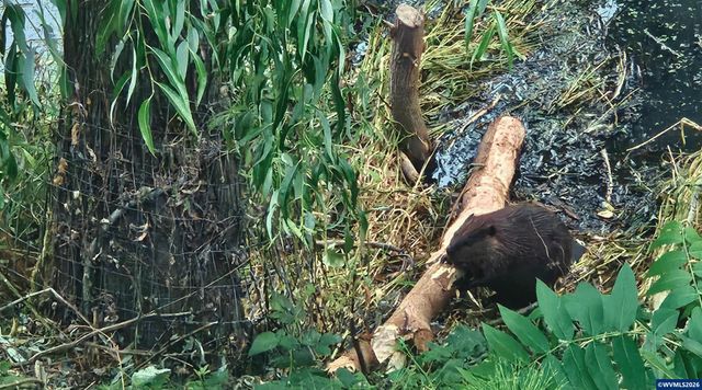 2055 SE Oak Crest Dr, Hillsboro, OR 97123