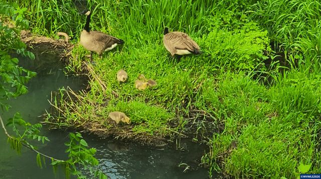 2055 SE Oak Crest Dr, Hillsboro, OR 97123