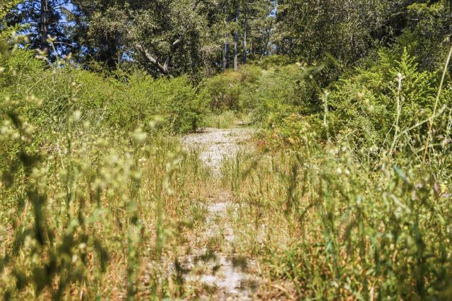 0 Chelsey Place, Scotts Valley, CA 95066