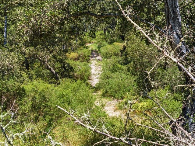 0 Chelsey Place, Scotts Valley, CA 95066