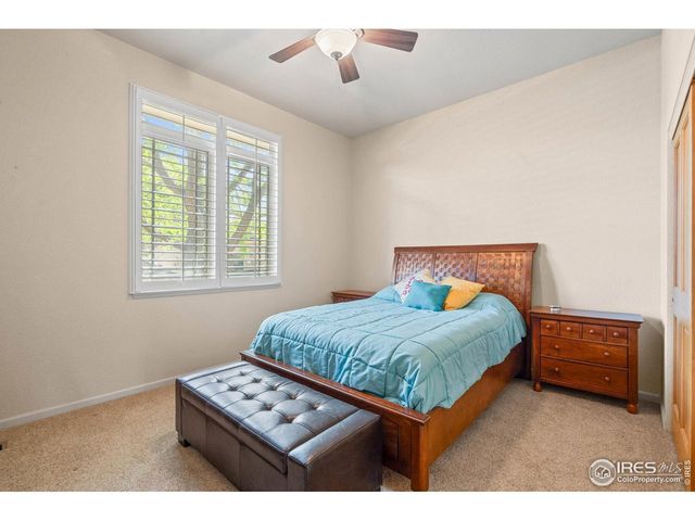 6535 Half Moon Bay Dr, Windsor, CO 80550