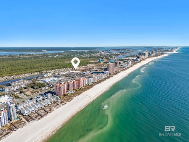 25341 Windward Lakes Avenue, Orange Beach, AL 36561
