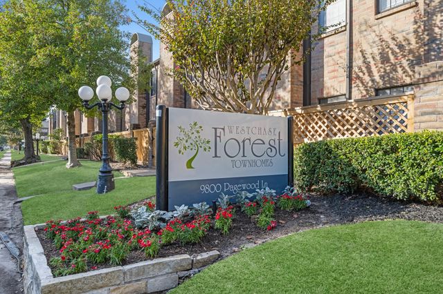 9800 Pagewood Lane 3103, Houston, TX 77042