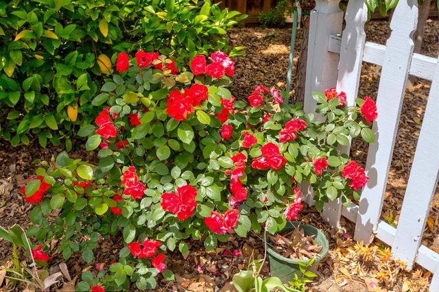 7685 Los Padres Court, Gilroy, CA 95020