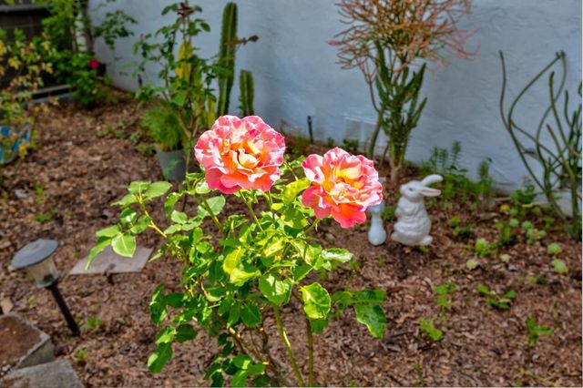 7685 Los Padres Court, Gilroy, CA 95020