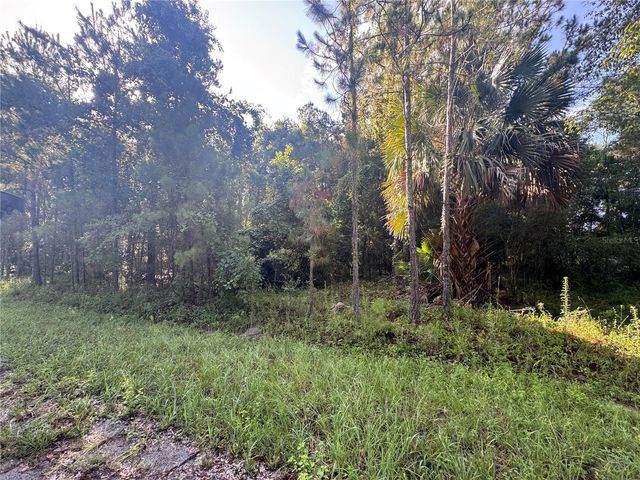 TBD SEQUOIA LOOP DRIVE, Ocklawaha, FL 32179
