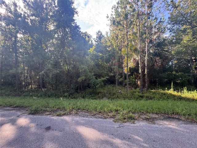 TBD SEQUOIA LOOP DRIVE, Ocklawaha, FL 32179