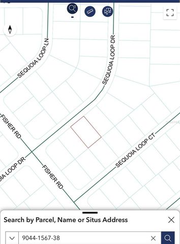 TBD SEQUOIA LOOP DRIVE, Ocklawaha, FL 32179