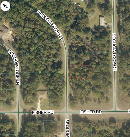 TBD SEQUOIA LOOP DRIVE, Ocklawaha, FL 32179