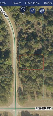 TBD SEQUOIA LOOP DRIVE, Ocklawaha, FL 32179