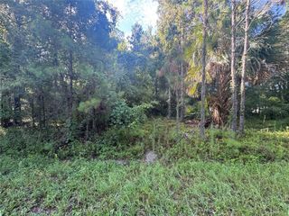 TBD SEQUOIA LOOP DRIVE, Ocklawaha, FL 32179
