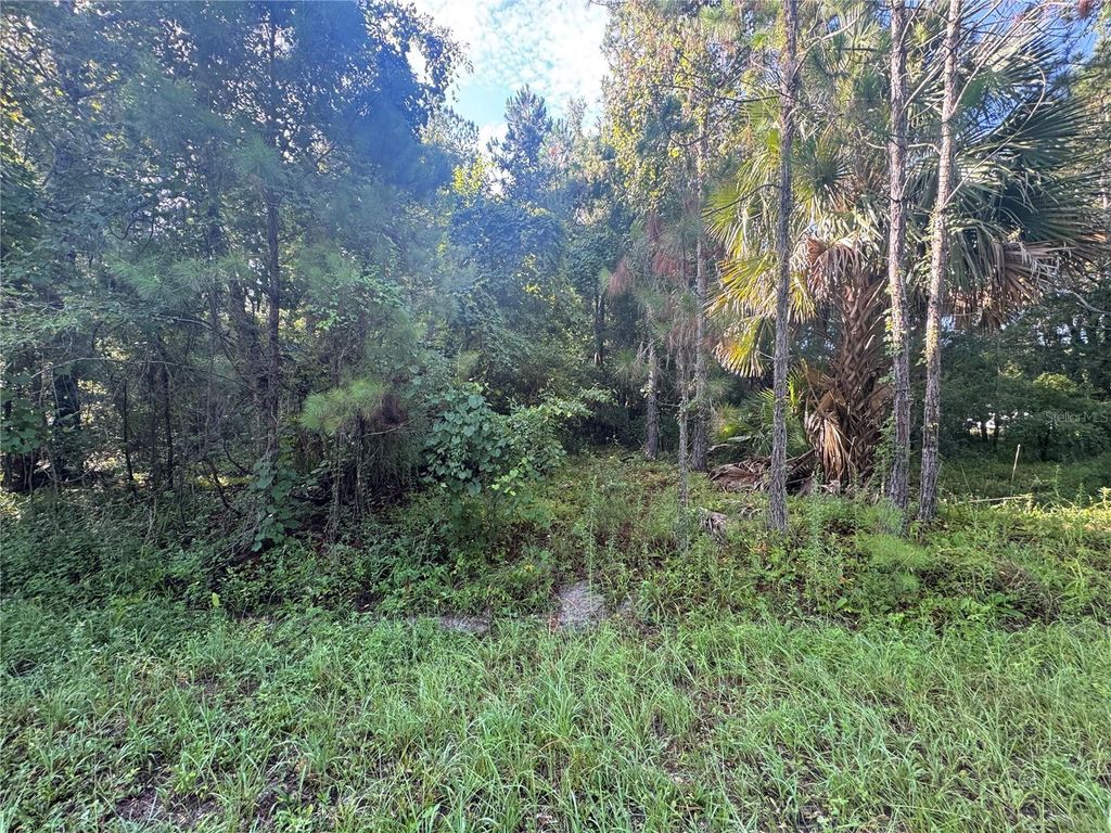 TBD SEQUOIA LOOP DRIVE, Ocklawaha, FL 32179