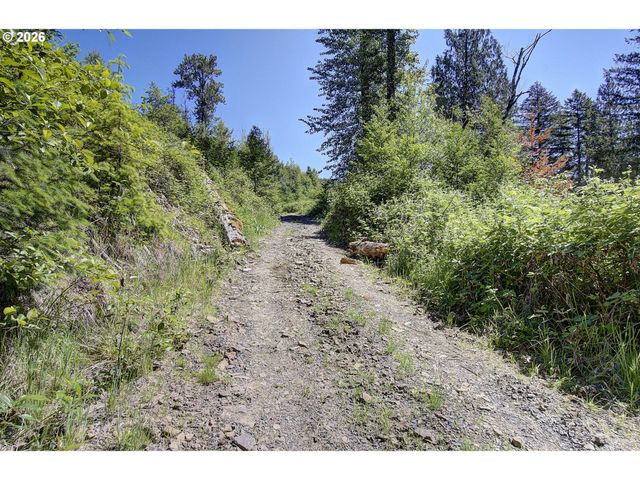 7002 KALAMA RIVER Rd, Kalama, WA 98625