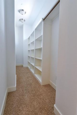 1807 W Webster Street, Houston, TX 77019
