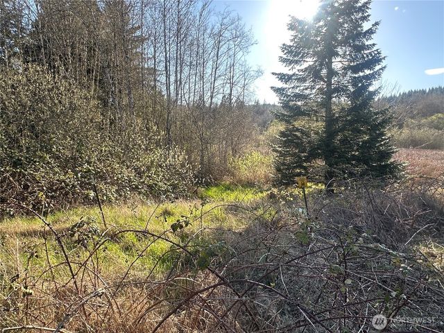 0 xxx Embody Road, Port Ludlow, WA 98365