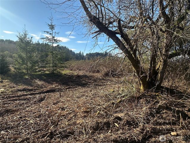 0 xxx Embody Road, Port Ludlow, WA 98365
