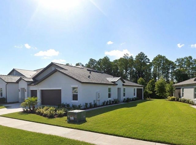 16890 FORGE SURF STREET, Land O Lakes, FL 34638