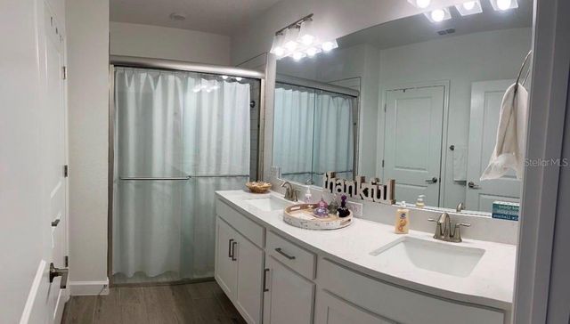 16890 FORGE SURF STREET, Land O Lakes, FL 34638