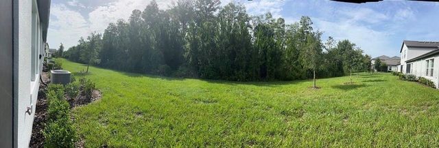 16890 FORGE SURF STREET, Land O Lakes, FL 34638
