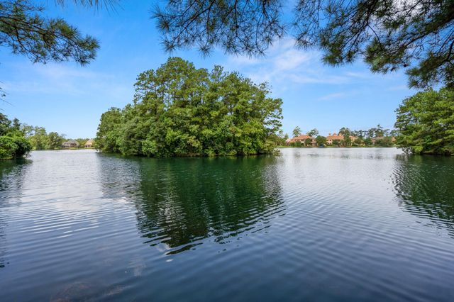 10410 Pitcataway Drive, Spring, TX 77379