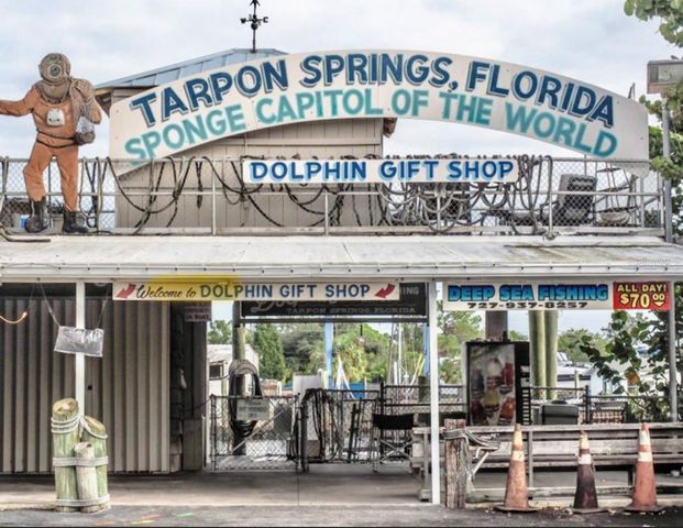 W SPRUCE STREET, Tarpon Springs, FL 34689