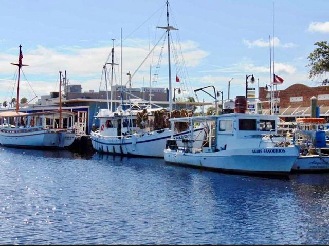 W SPRUCE STREET, Tarpon Springs, FL 34689