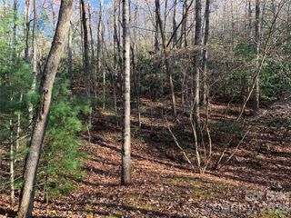 TBD (Lot 1) Dugger Firetower Road 1, Lenoir, NC 28645