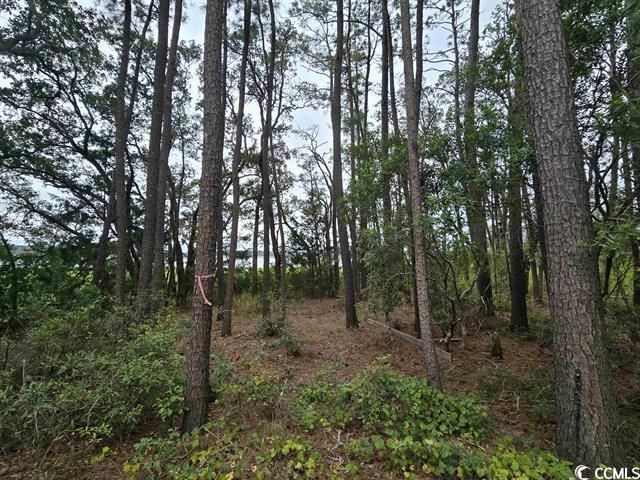 TBD Gillette Pl., Murrells Inlet, SC 29576