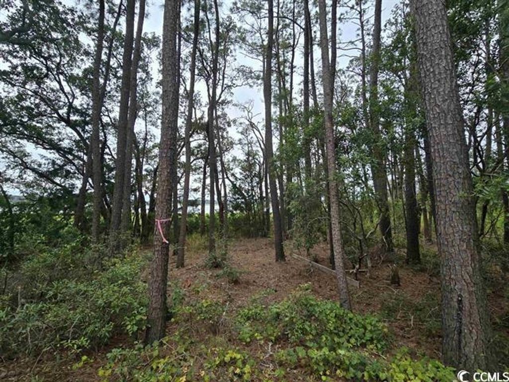 TBD Gillette Pl., Murrells Inlet, SC 29576 — photo 4