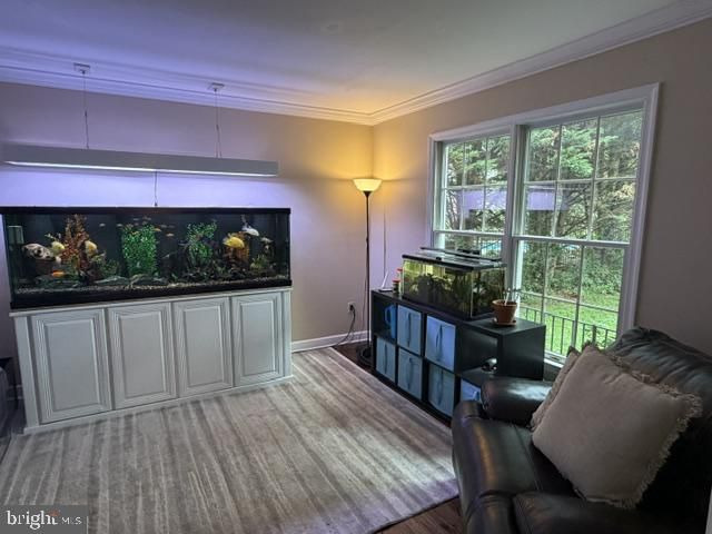 608 HOODS MILL RD, Woodbine, MD 21797
