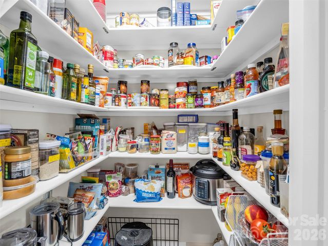 930 Big Raven Lane, Saluda, NC 28773
