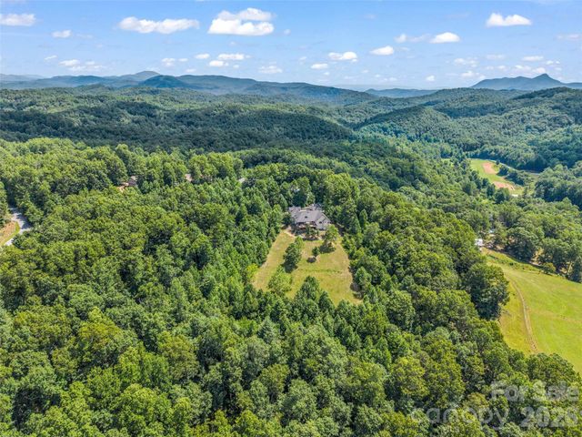 930 Big Raven Lane, Saluda, NC 28773