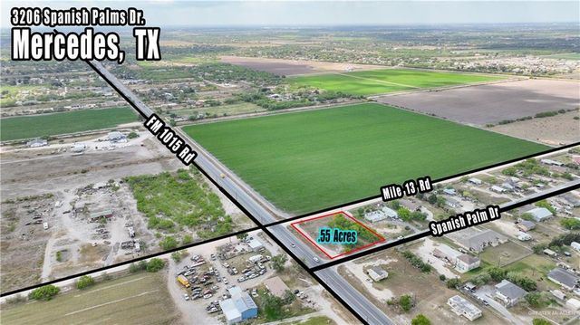 3206 S Spanish Palms Drive, Mercedes, TX 78570