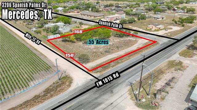 3206 S Spanish Palms Drive, Mercedes, TX 78570