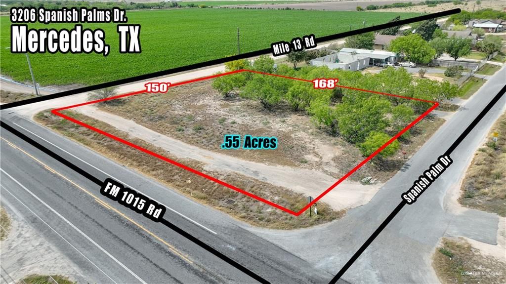 3206 S Spanish Palms Drive, Mercedes, TX 78570