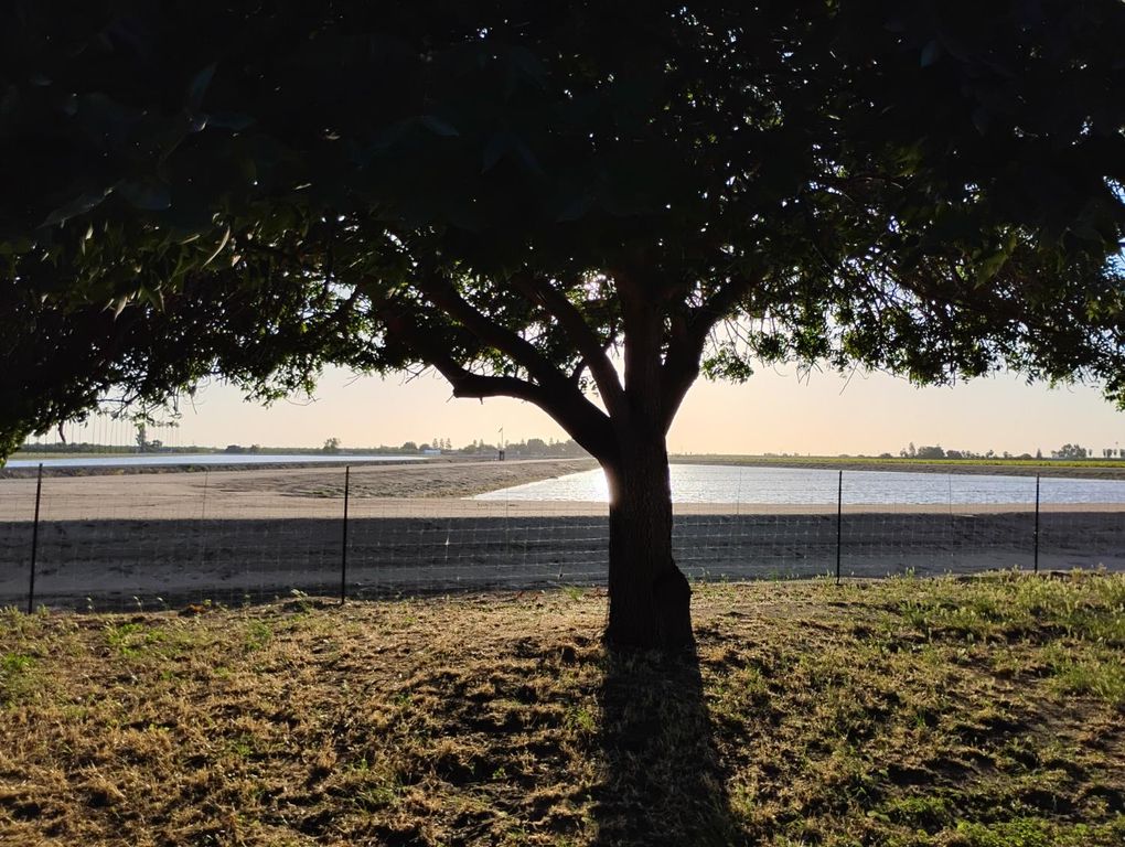 Image 31 of property listing at 2545 N Siskiyou Avenue, Kerman, CA 93630