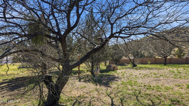 6033 S APACHE ROSE Trail, Hereford, AZ 85615