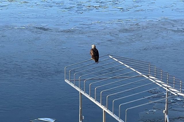 5344 Candy Cove Trail SE, Prior Lake, MN 55372