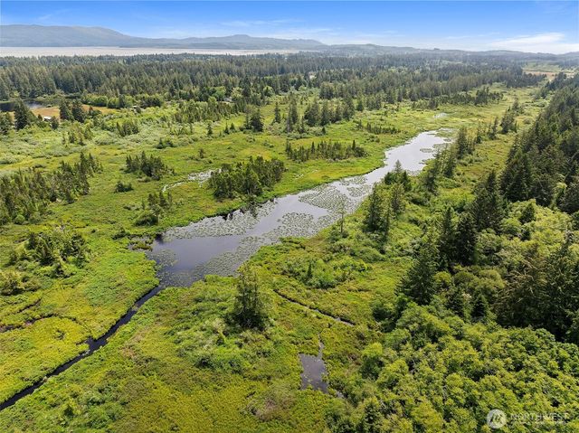 15308 Pacific Way, Long Beach, WA 98631