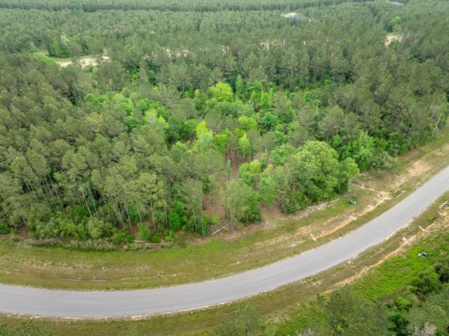 15396 Forest Grove Drive, Willis, TX 77378