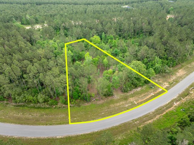15396 Forest Grove Drive, Willis, TX 77378